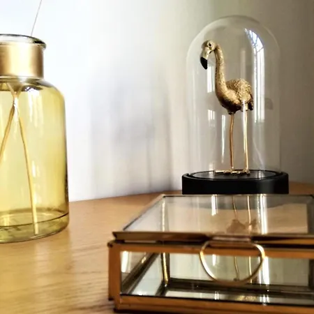 Turgot - Ancien Particulier - Lumineux *