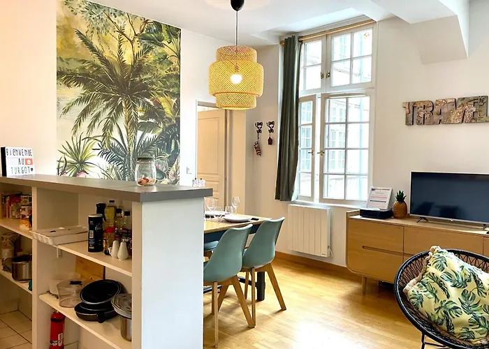 Apartment Turgot - Ancien Particulier - Lumineux *